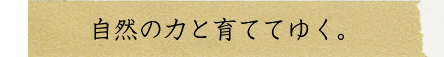 自然の力と育ててゆく