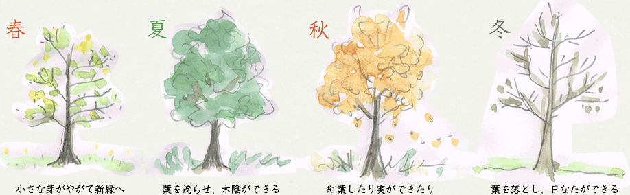 庭はこどもの教室 庭はこどもの教室