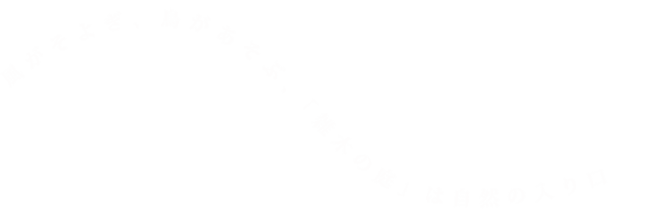 風がそよぎ、鳥が遊ぶ。雑木の森は自然の入り口