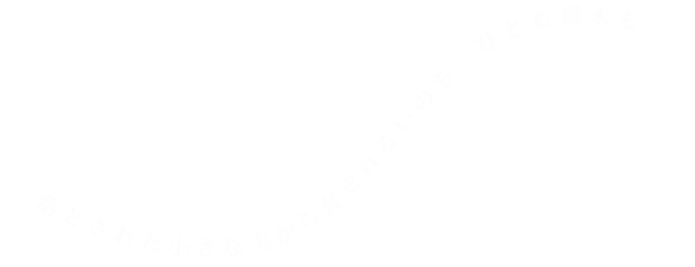 落とされた小さな木の実から育まれる命。ひとも樹木も