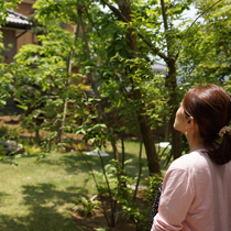 心地よい風と植物に時間が経つのを忘れます