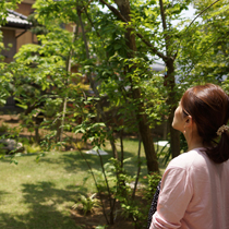 心地よい風と植物に時間が経つのを忘れます